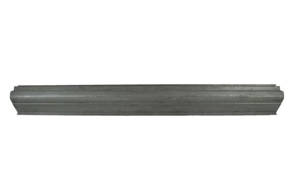 Einstiegsblech Schweller