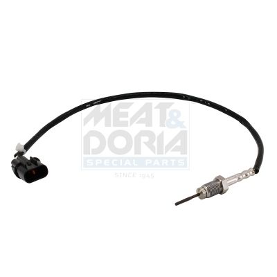Sensor Abgastemperatur