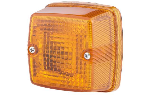 Blinker Blinkleuchte
