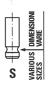 Auslassventil
