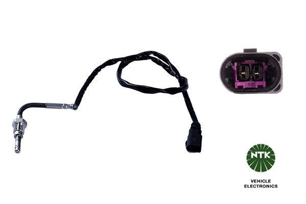 Sensor Abgastemperatur