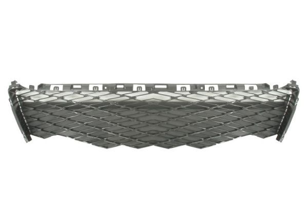 Stoßstange Gitter