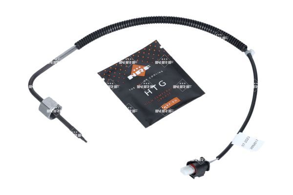 Sensor Abgastemperatur