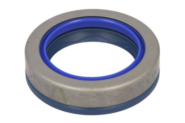 Dichtung Differential