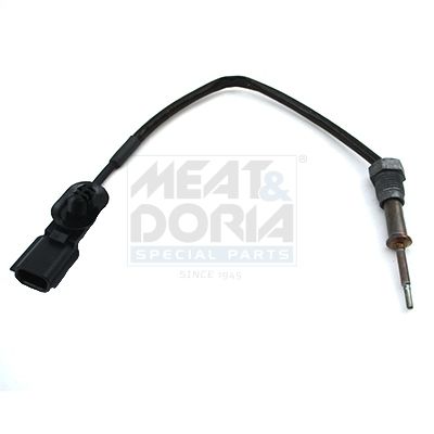 Sensor Abgastemperatur