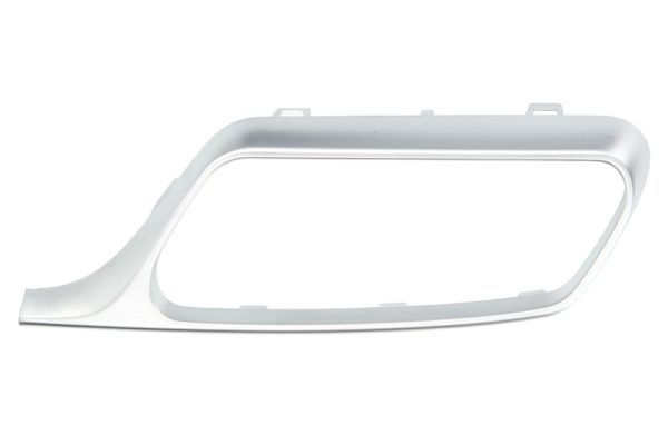Stoßstange Gitter