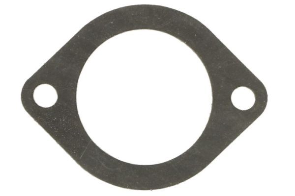 Dichtung Thermostat