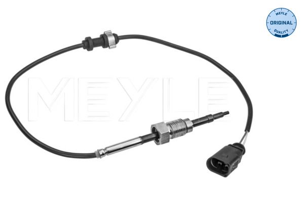Sensor Abgastemperatur