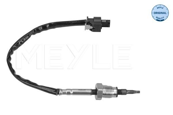 Sensor Abgastemperatur