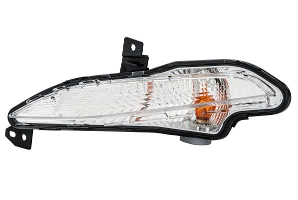 Blinker vorne
