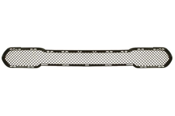 Stoßstange Gitter