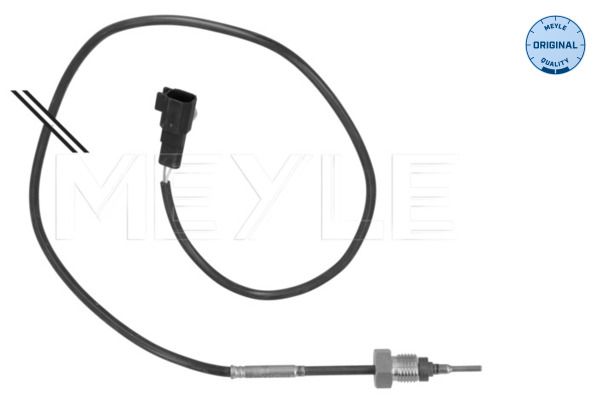 Sensor Abgastemperatur