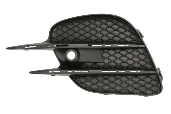 Stoßstange Gitter
