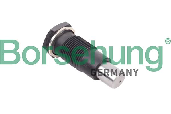 Spanner Steuerkette