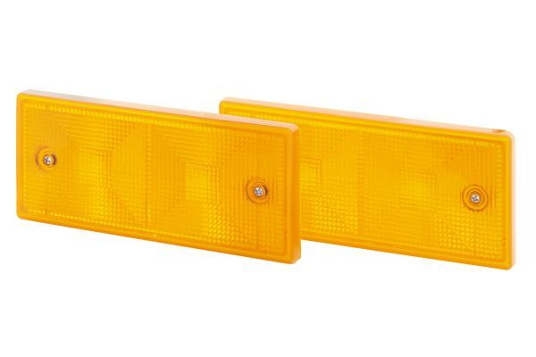 Lichtscheibe Blinker Blinkleuchte