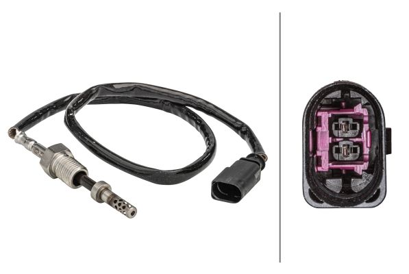 Sensor Abgastemperatur