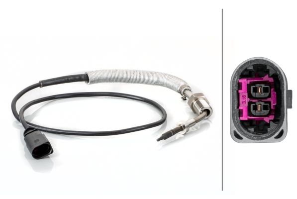 Sensor Abgastemperatur