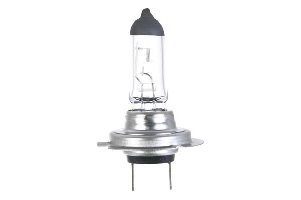 Glühbirnen, Xenon, LED