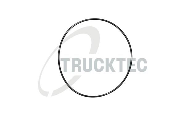 Einlass-/Auslasskrümmerdichtung