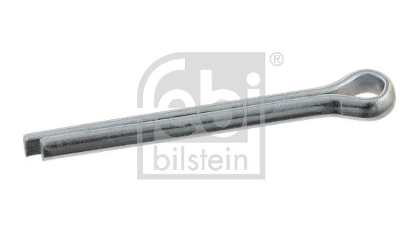 Splint