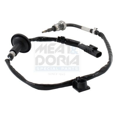 Sensor Abgastemperatur