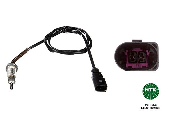 Sensor Abgastemperatur