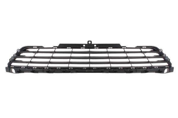 Stoßstangengitter