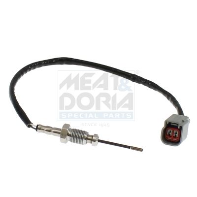 Sensor Abgastemperatur
