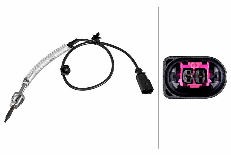 Sensor Abgastemperatur