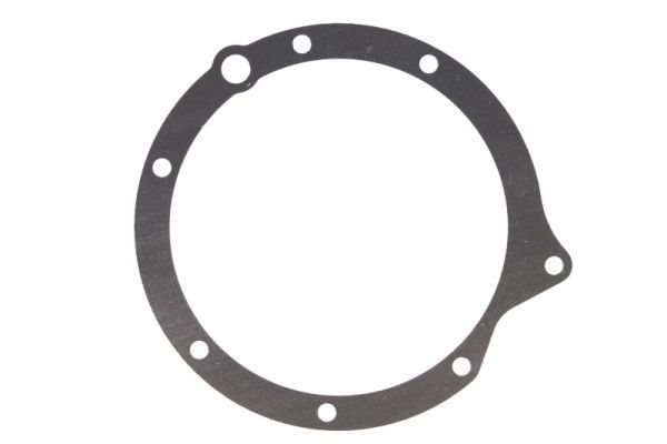 Dichtung Kraftstoffpumpe