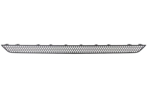 Stoßstange Gitter