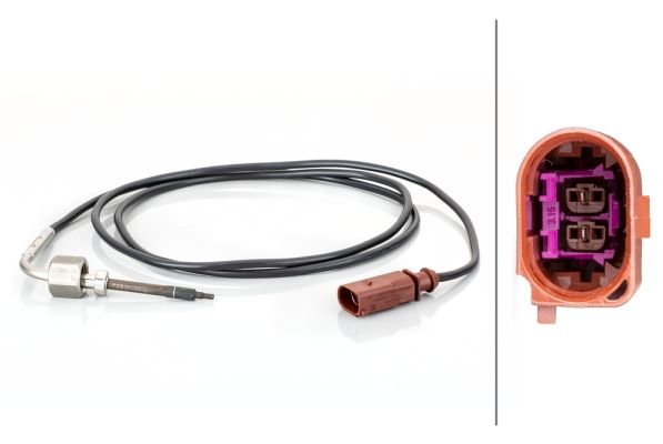 Sensor Abgastemperatur