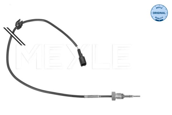 Sensor Abgastemperatur