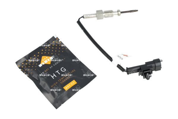 Sensor Abgastemperatur