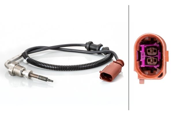 Sensor Abgastemperatur
