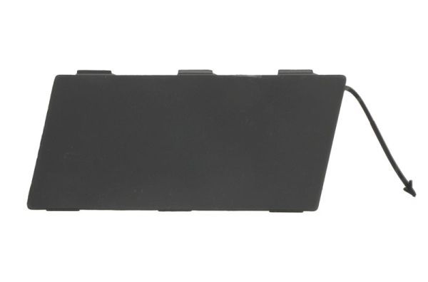 Stoßstange Gitter