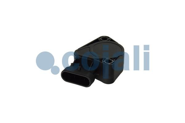 Sensor Fahrpedalstellung