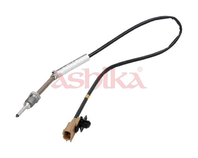 Sensor Abgastemperatur