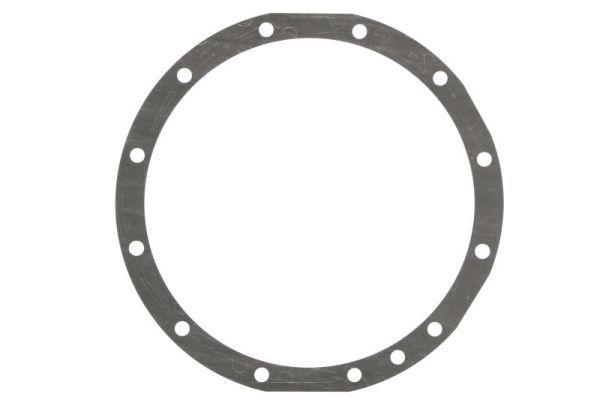 Dichtung Differential