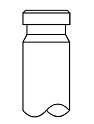 Auslassventil
