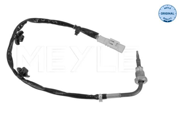 Sensor Abgastemperatur