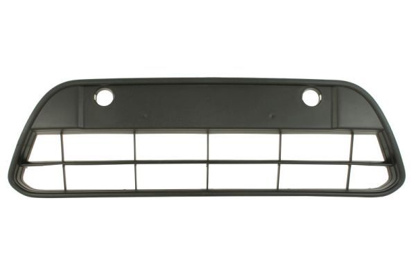 Stoßstange Gitter