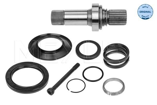 Steckwelle Differential