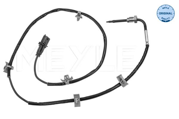Sensor Abgastemperatur