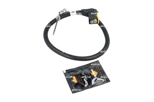 Sensor Abgastemperatur