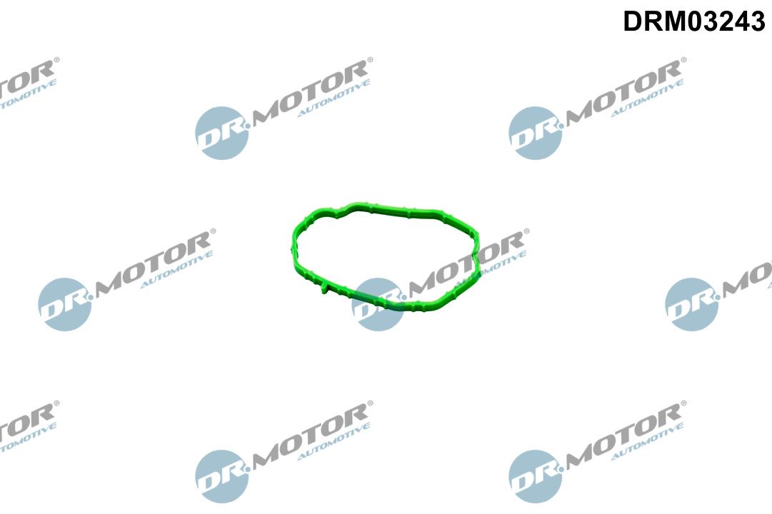 Dichtung Thermostatgehäuse