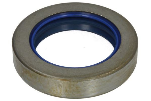 Dichtung Differential