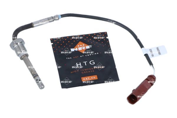Sensor Abgastemperatur