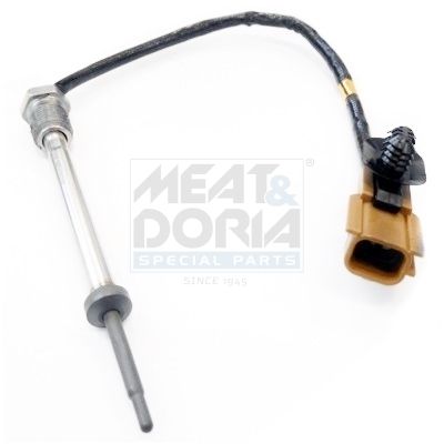 Sensor Abgastemperatur