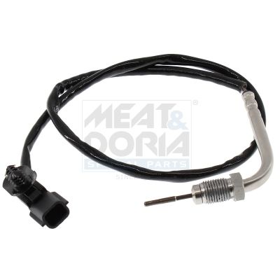 Sensor Abgastemperatur